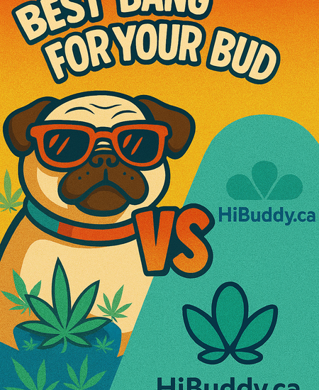 BBFYB vs HiBuddy: What’s the Best Way to Find Legal Weed in Canada?