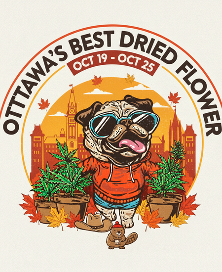 Ottawa’s Best-Selling Dried Flowers – Week of October 19–25, 2025