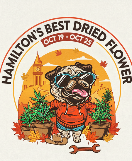 Hamilton’s Best-Selling Dried Flowers – Week of October 19–25, 2025