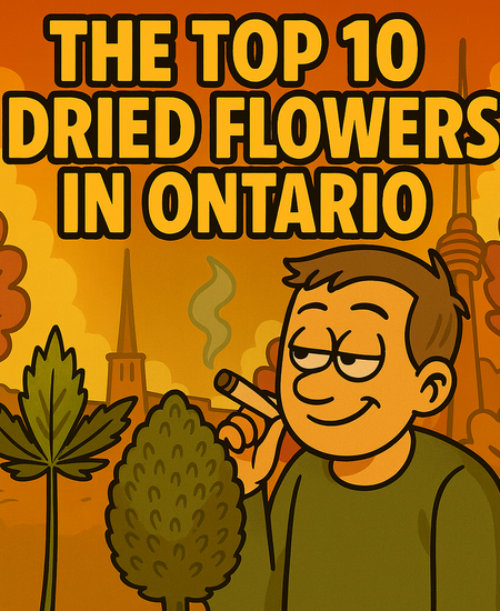Ottawa’s Best-Selling Dried Flowers – Week of September 22–28, 2025