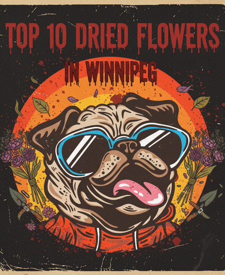 Winnipeg’s Best-Selling Dried Flowers – Week of November 2–8, 2025