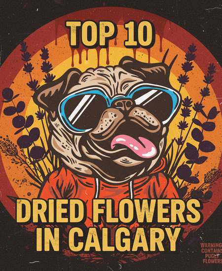Calgary’s Best-Selling Dried Flowers – Week of November 2–8, 2025