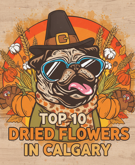 Calgary’s Best-Selling Dried Flowers – Week of November 9–15, 2025