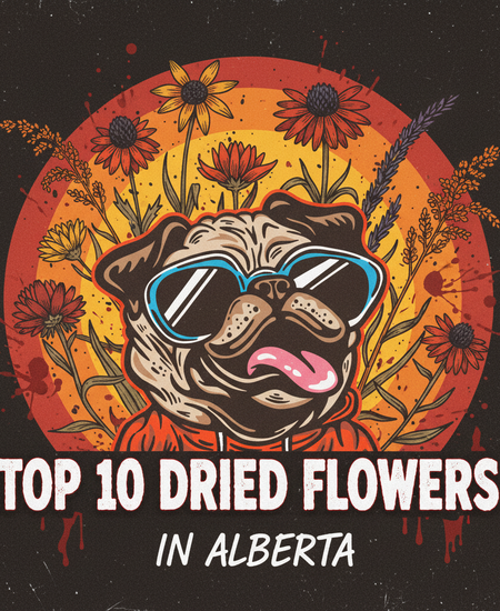 Alberta’s Best-Selling Dried Flowers – Week of November 2–8, 2025