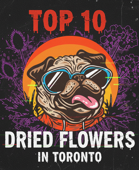 Toronto’s Best-Selling Dried Flowers – Week of November 2–8, 2025