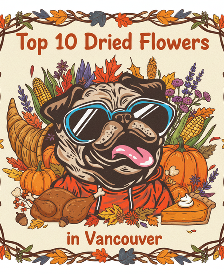 Vancouver’s Best-Selling Dried Flowers – Week of November 9–15, 2025