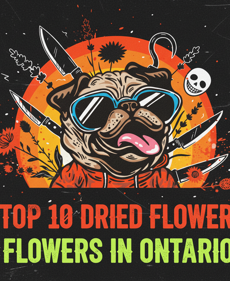 Ontario’s Best-Selling Dried Flowers – Week of November 2–8, 2025