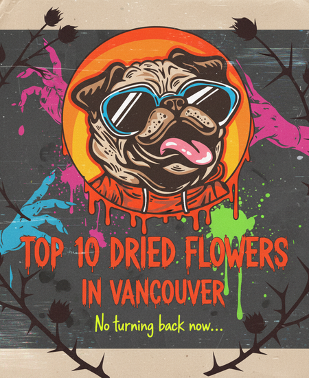 Vancouver’s Best-Selling Dried Flowers – Week of November 2–8, 2025