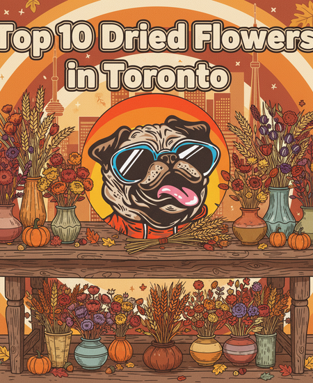 Toronto’s Best-Selling Dried Flowers – Week of November 9–15, 2025