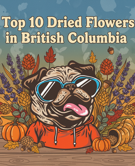 British Columbia’s Best-Selling Dried Flowers – Week of November 9–15, 2025