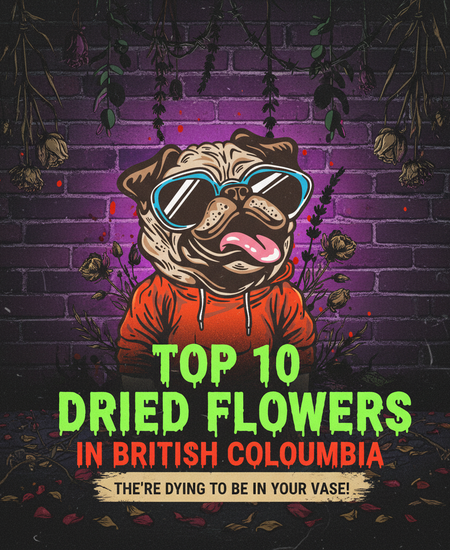 British Columbia’s Best-Selling Dried Flowers – Week of November 2–8, 2025