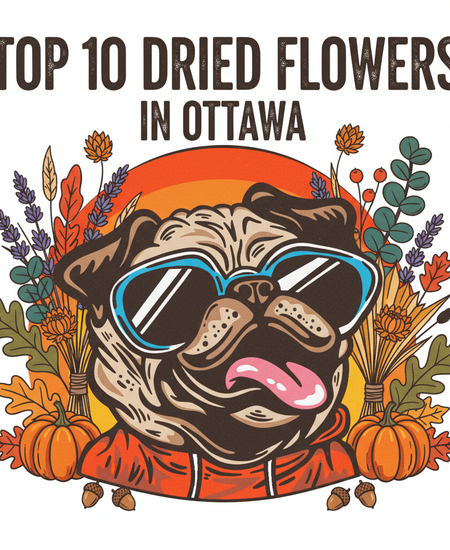 Ottawa’s Best-Selling Dried Flowers – Week of November 9–15, 2025
