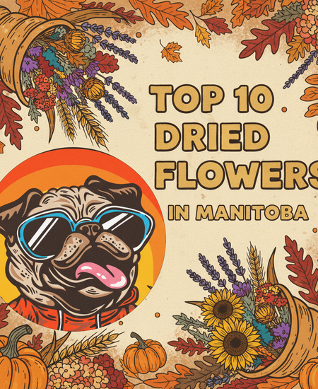 Manitoba’s Best-Selling Dried Flowers – Week of November 9–15, 2025
