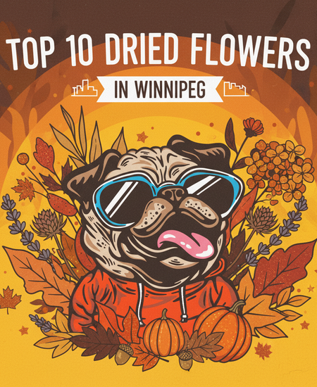 Winnipeg's Best-Selling Dried Flowers -- Week of November 9-15, 2025