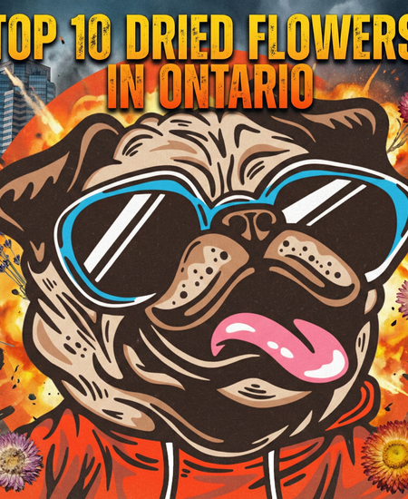 Ontario’s Best-Selling Dried Flower – January 4–10, 2026