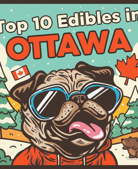 Ottawa’s Best-Selling Edibles – February 15–21, 2026