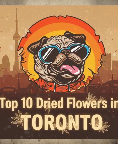 Toronto’s Best-Selling Dried Flower – February 1–7, 2026