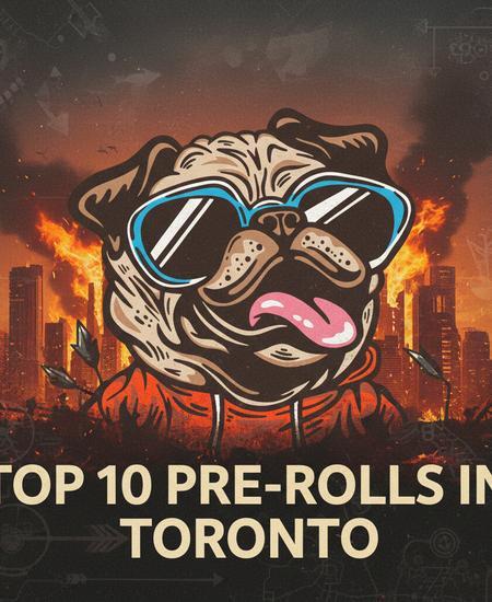 Toronto’s Best-Selling Pre-Rolls – February 1–7, 2026