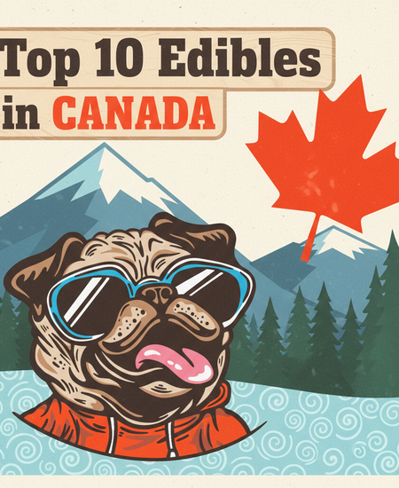 Canada’s Best-Selling Edibles – February 15–21, 2026