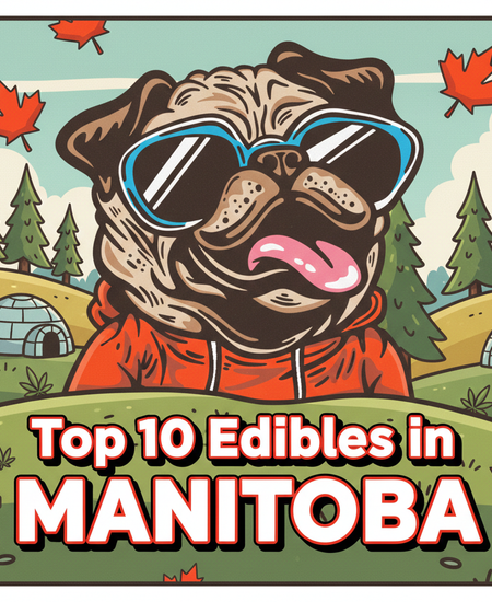Manitoba’s Best-Selling Edibles – January 25–31, 2026