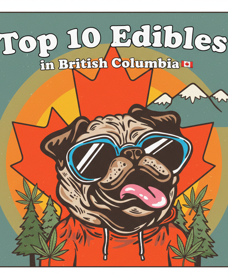 British Columbia’s Best-Selling Edibles – February 15–21, 2026