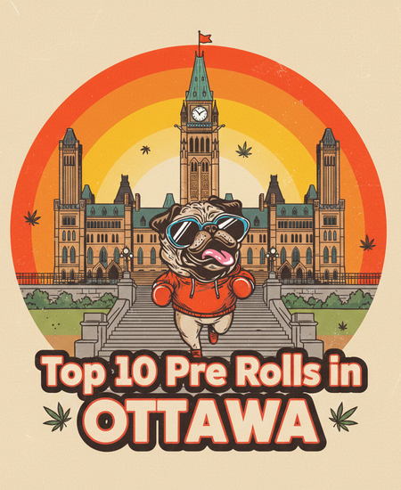 Ottawa's Best-Selling Pre-Rolls - February 22-28, 2026