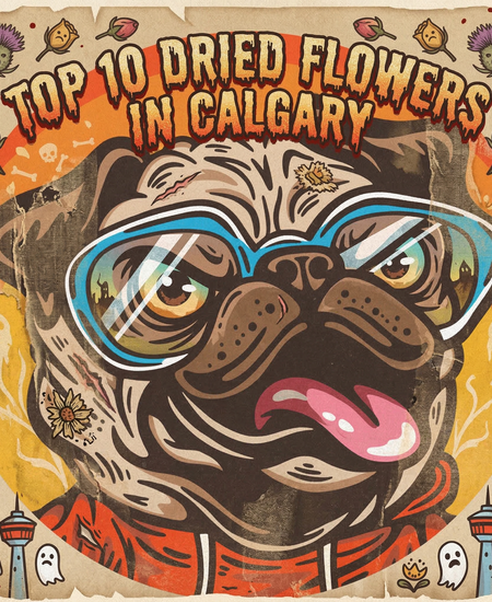 Calgary’s Best-Selling Dried Flower - March 1-7, 2026