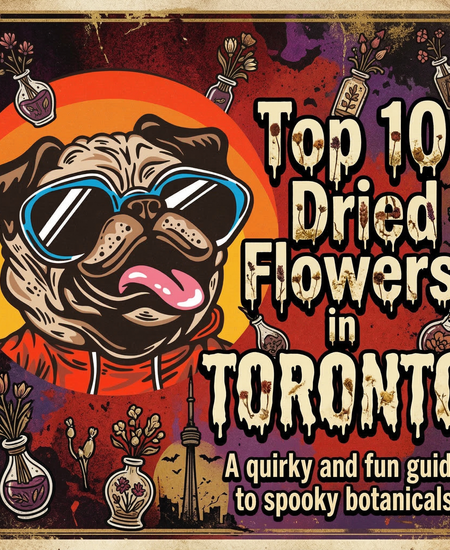 Toronto’s Best-Selling Dried Flower - March 1-7, 2026