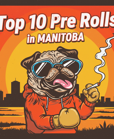 Manitoba's Best-Selling Pre-Rolls - February 22--28, 2026