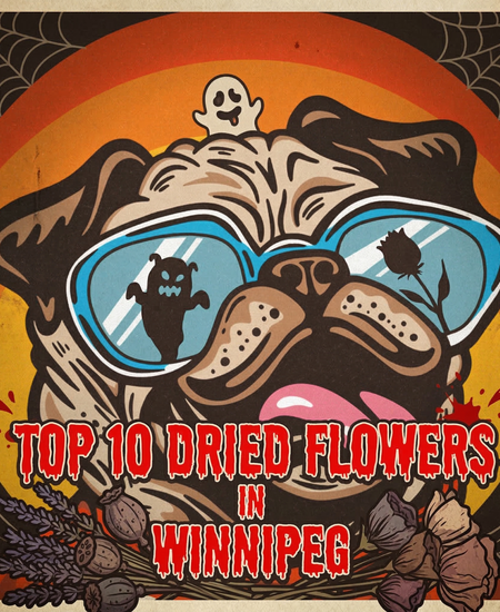 Winnipeg’s Best-Selling Dried Flower - March 1-7, 2026